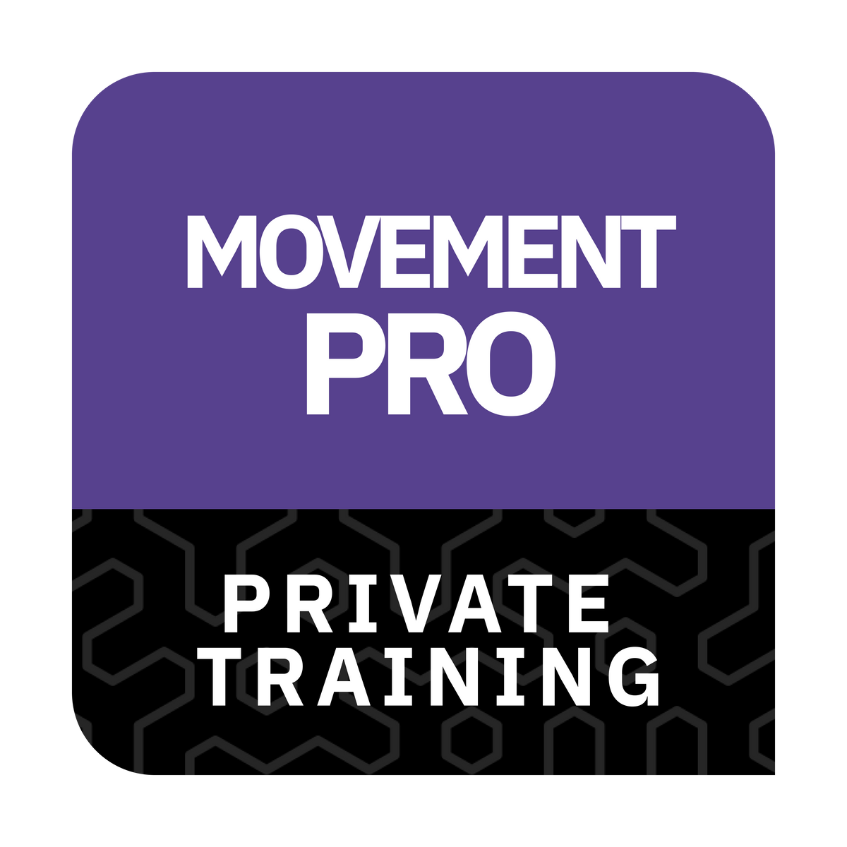Private Movement Professional Training core360belt