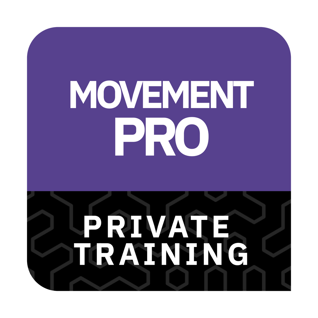 Private Movement Professional Training